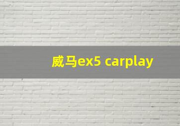 威马ex5 carplay